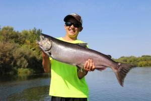 Hunter W. - King Salmon Sacramento River, SC2 Outdoors Fishing